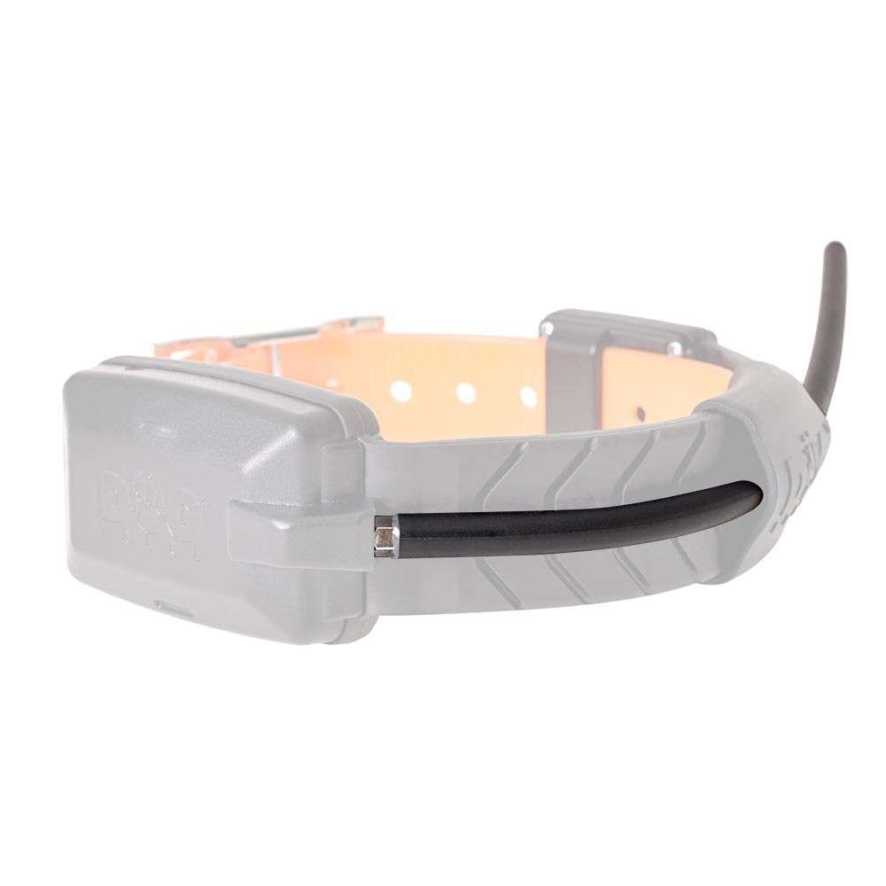 Antena RF para collares X20 2