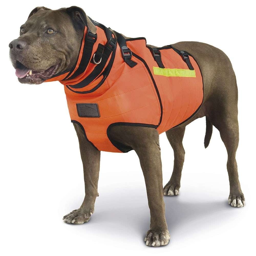 chaleco-elite-bulwark-razas-pequenas-14.jpg Chaleco ÉLITE Bulwark - razas grandes 2