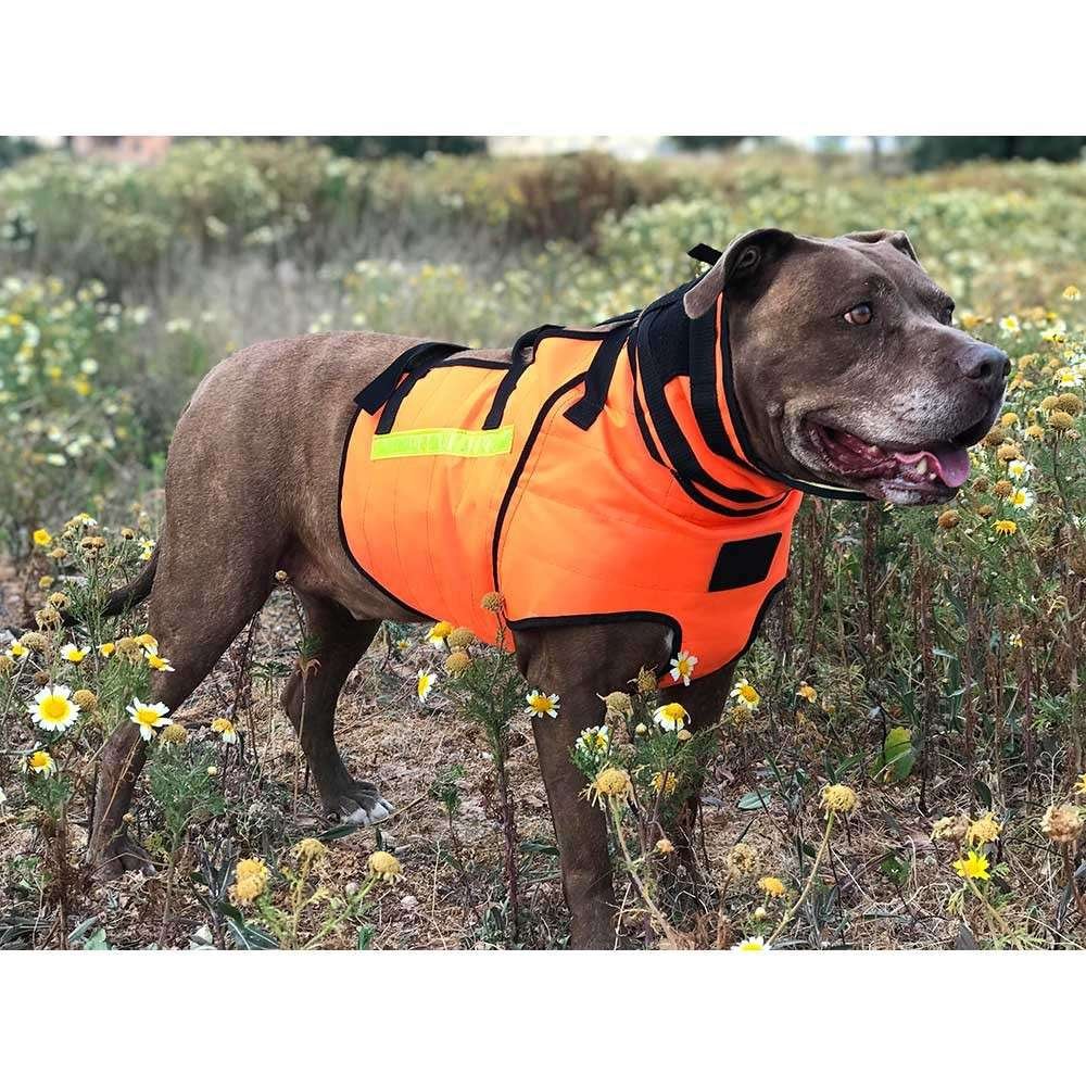 chaleco-elite-bulwark-razas-pequenas-15.jpg Chaleco ÉLITE Bulwark - razas grandes 3