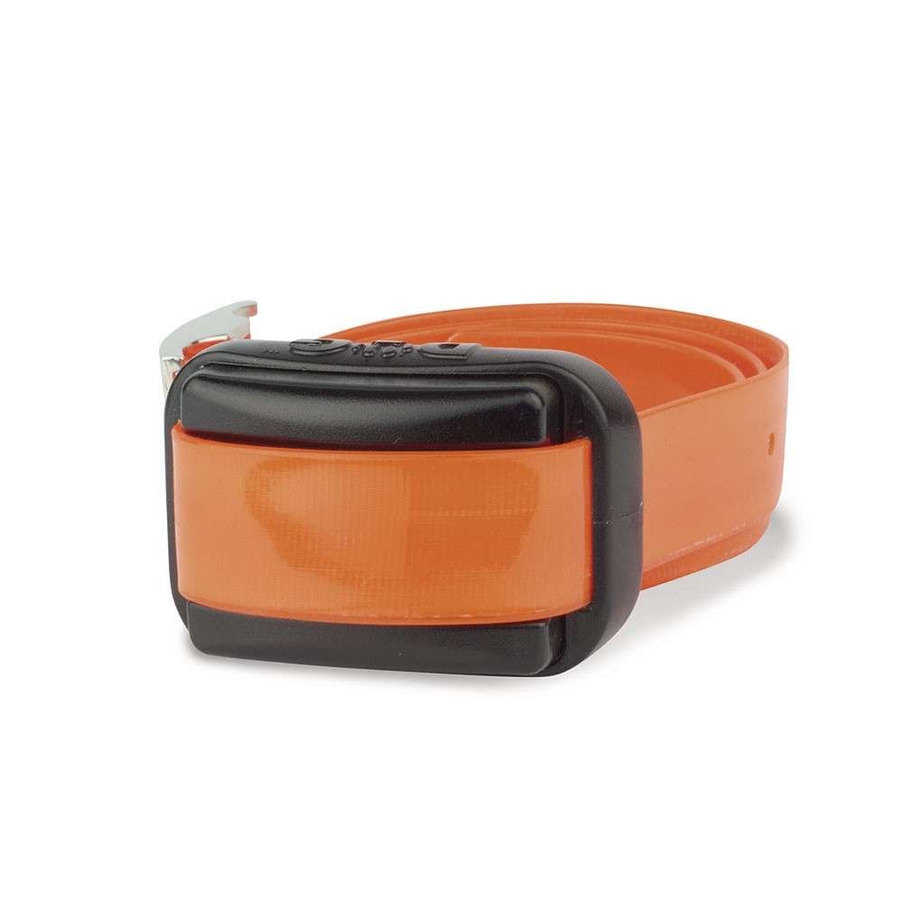 Collar Adicional Professional Mini 2