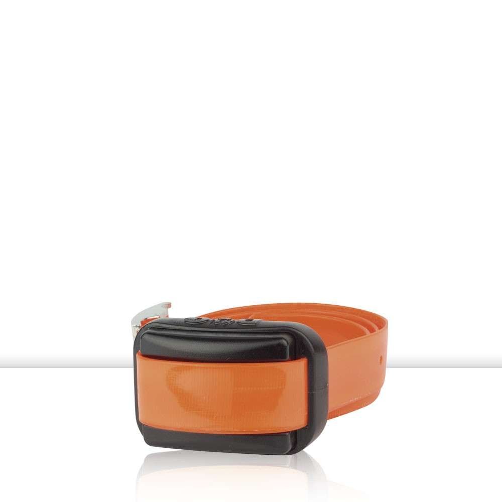 Collar Adicional Professional Mini 1