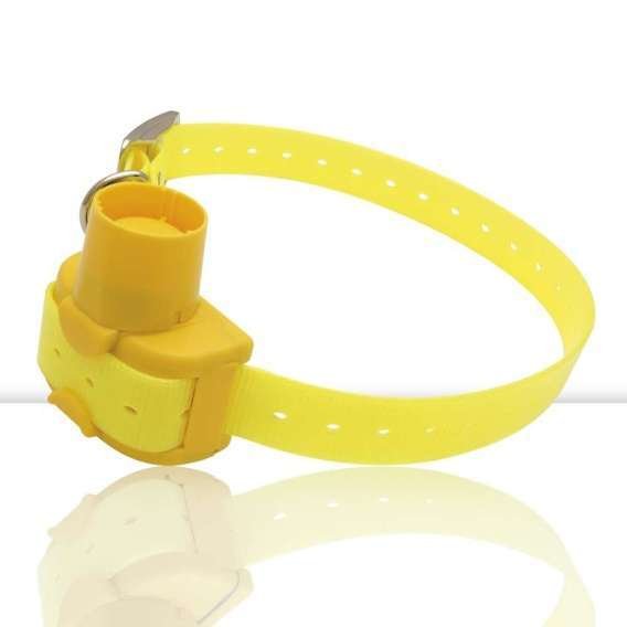 Collar De Becada "Mini Beeper" 1