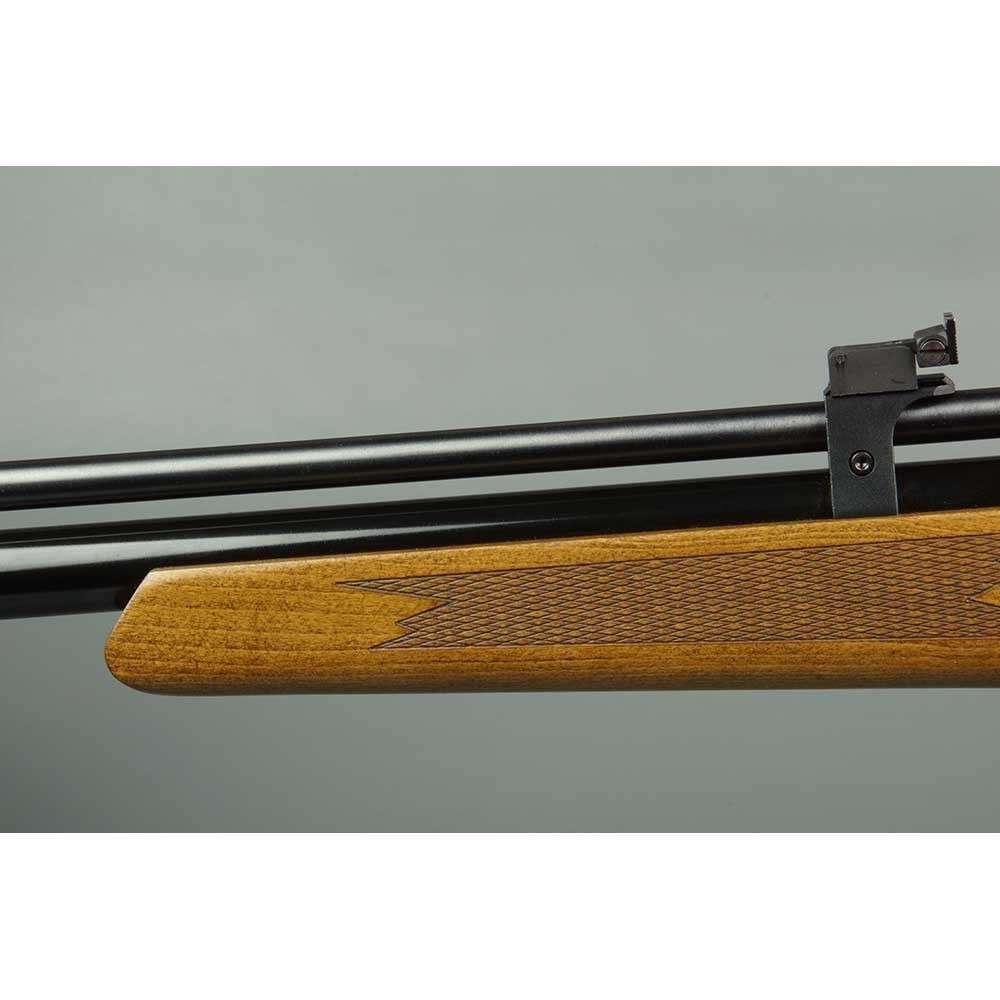 CARABINA PCP ONIX INITZIA 10