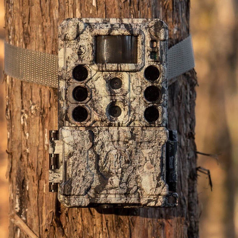 Cámara BUSHNELL Core DS-4K No-Glow Treebark Camo 5