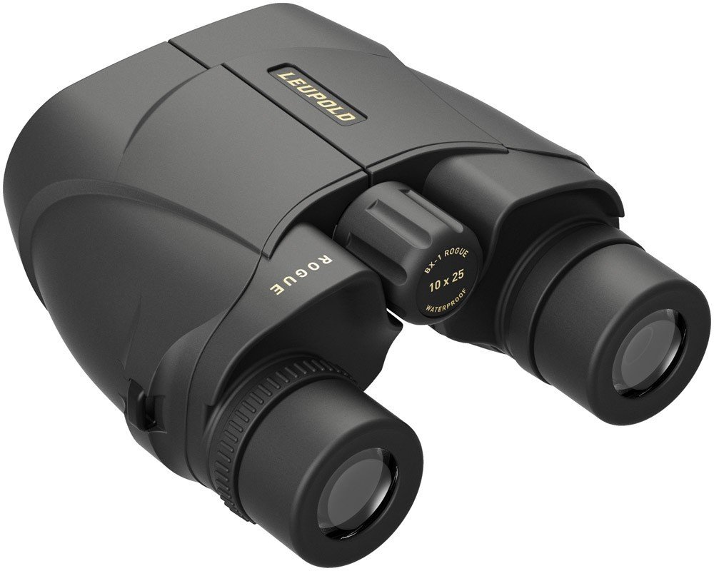 Prismático LEUPOLD BX-1 Rogue Compact - 10x25 2