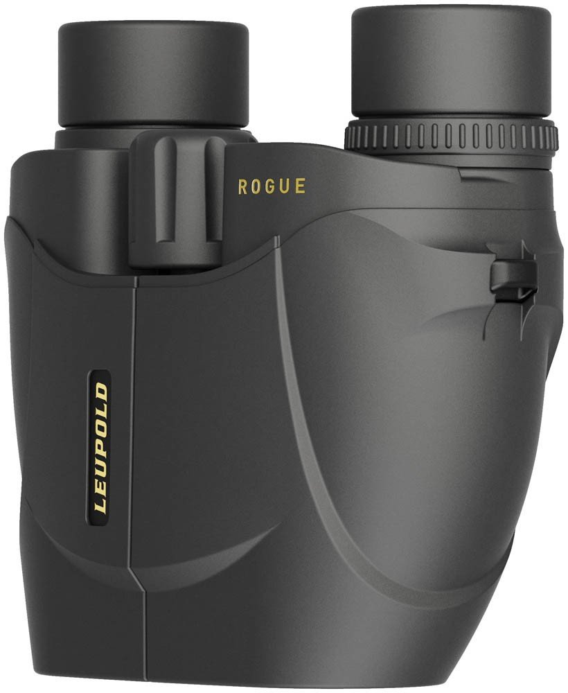 Prismático LEUPOLD BX-1 Rogue Compact - 10x25 6