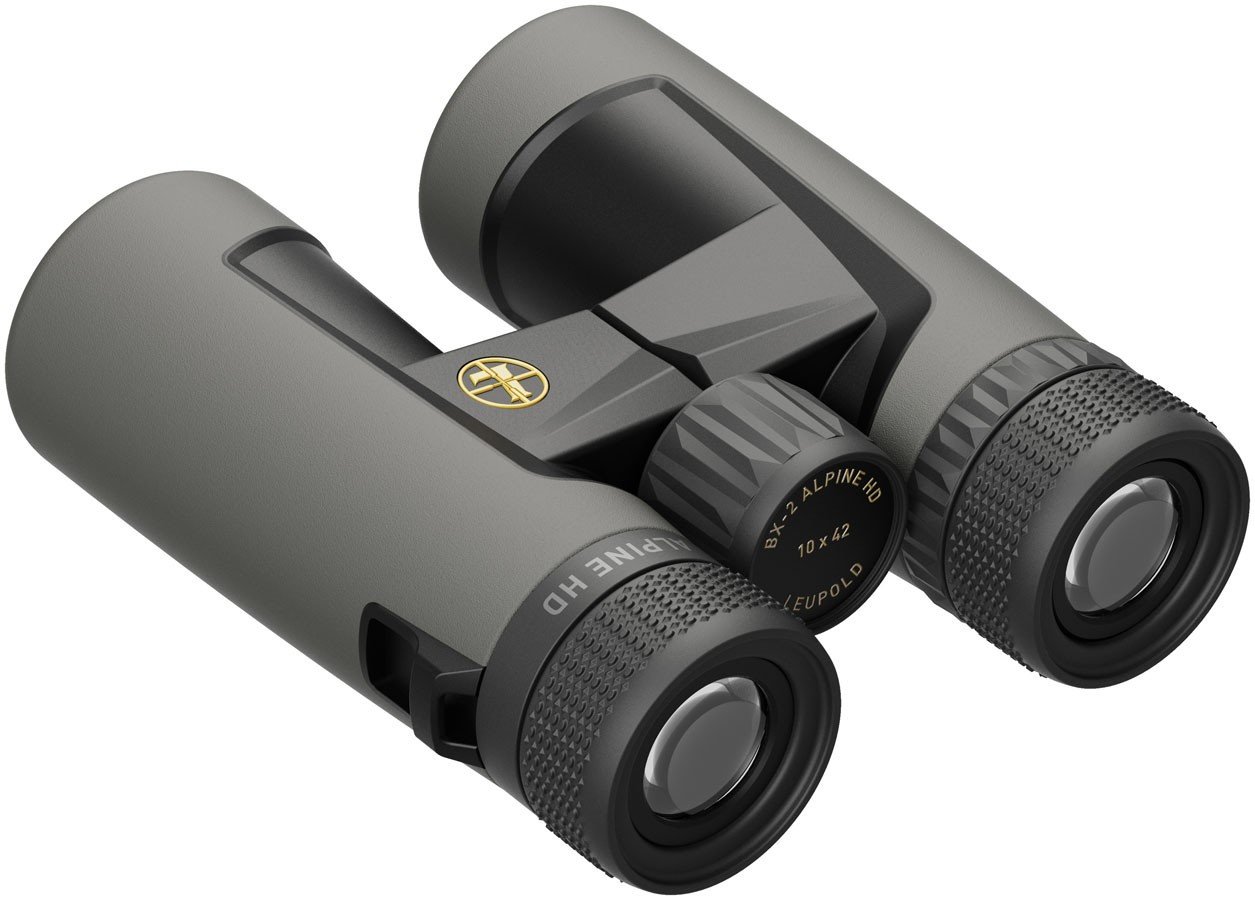 Prismático LEUPOLD BX-2 Alpine HD - 10x42 2