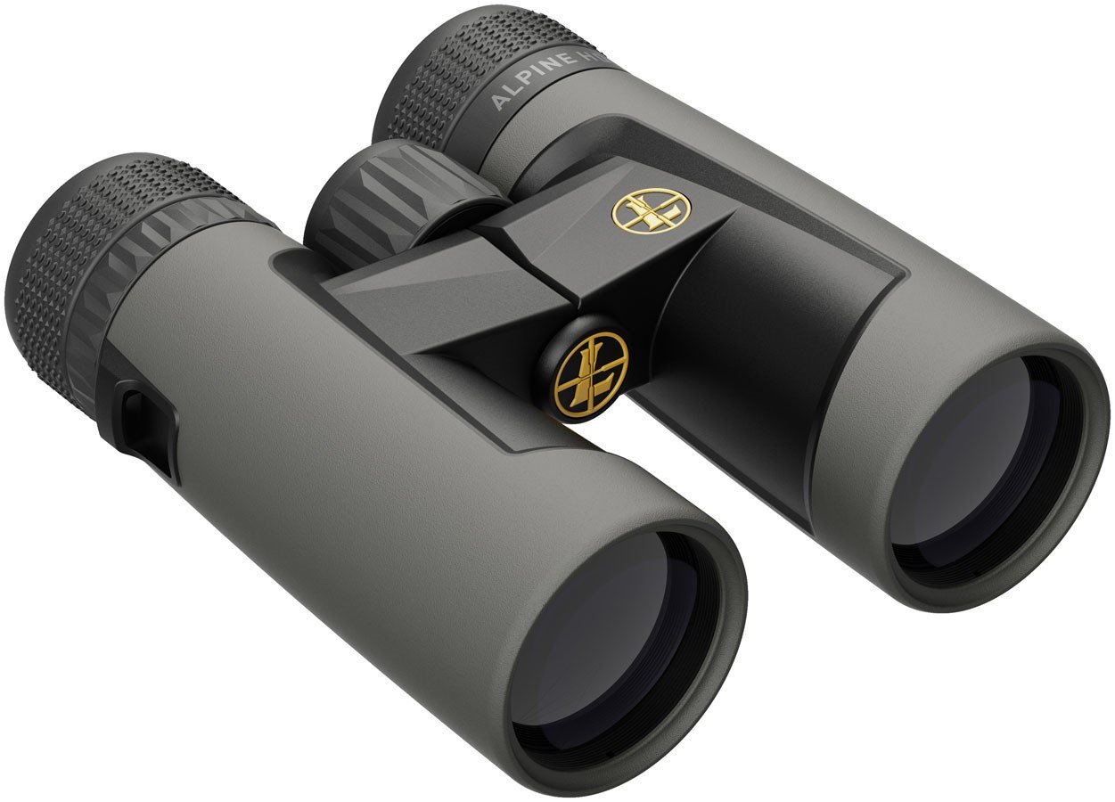 Prismático LEUPOLD BX-2 Alpine HD - 10x42 3