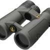 Prismático LEUPOLD BX-5 Santiam HD - 10x42 8