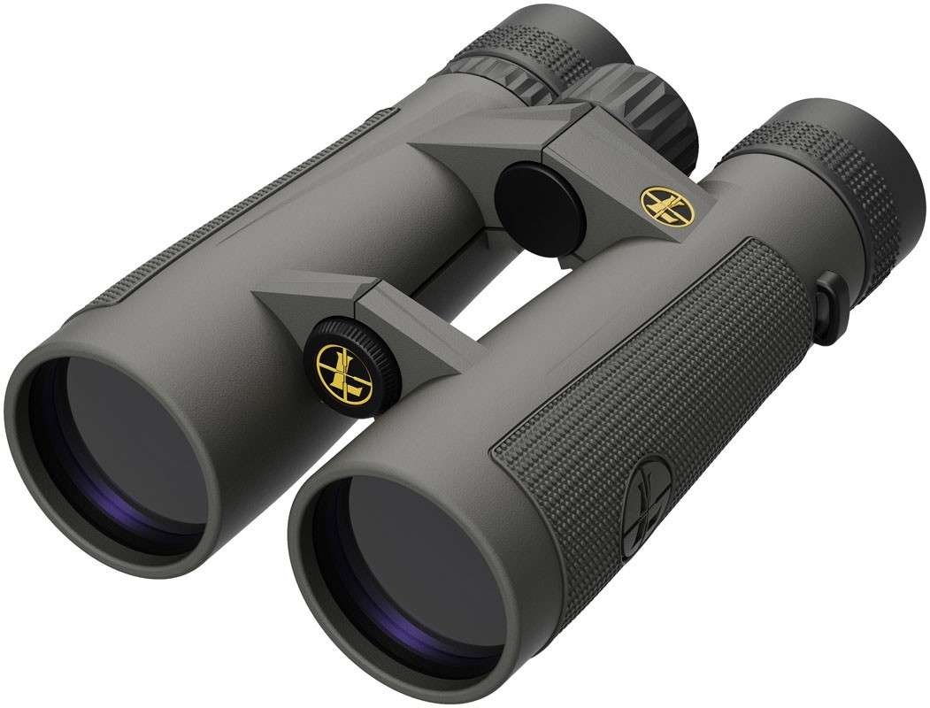 Prismático LEUPOLD BX-5 Santiam HD - 10x50 1