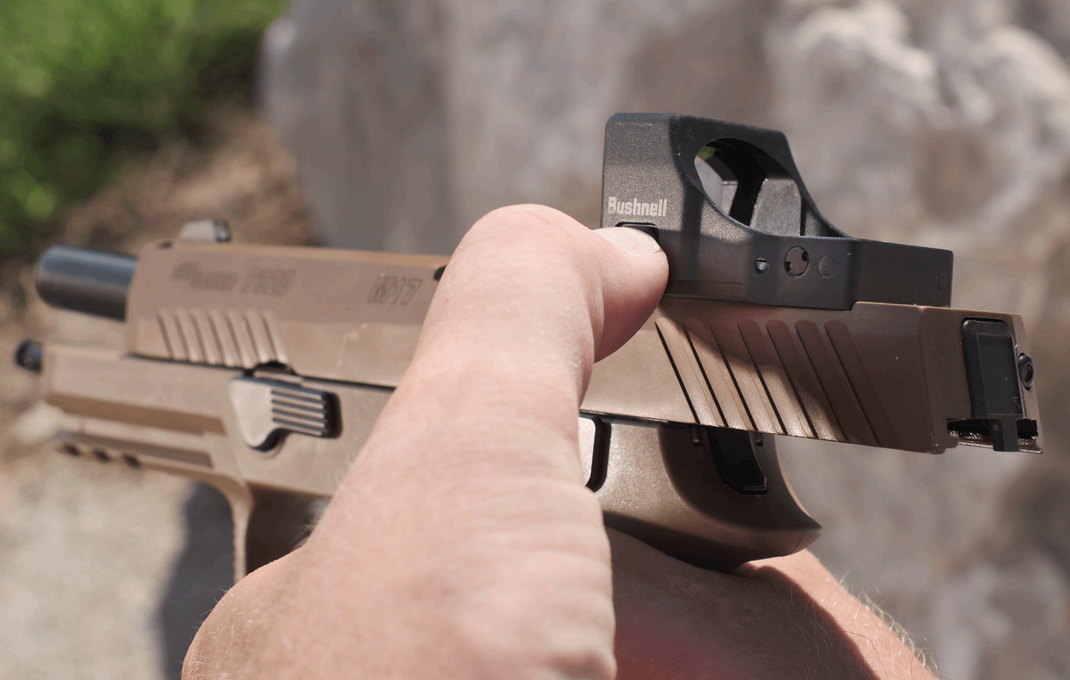 Visor BUSHNELL RXS-250 Reflex Sight 11